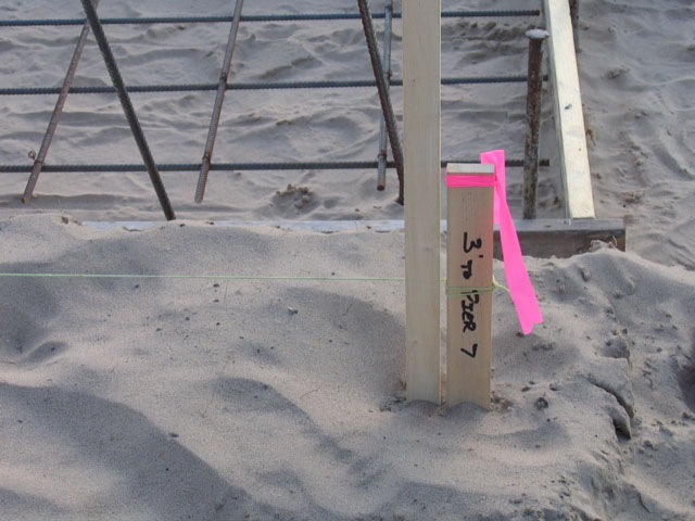 Grand Haven Skatepark7